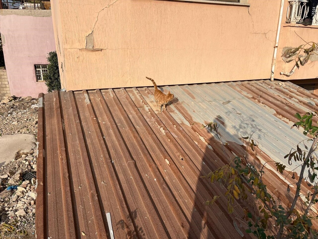 HATAY’DA ÇATIDA MAHSUR KALAN KEDİ İTFAİYE EKİPLERİ TARAFINDAN KURTARILDI.