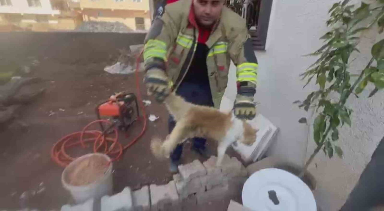 HATAY’IN KIRIKHAN İLÇESİNDE PENCERE KORKULUĞUNDA MAHSUR KALAN KEDİ, İTFAİYE EKİPLERİ TARAFINDAN...
