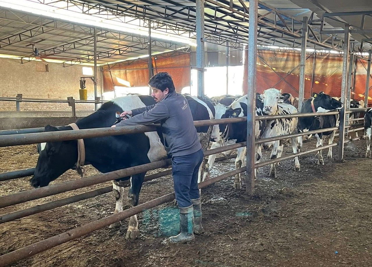 HAYRABOLU İLÇE TARIM VE ORMAN MÜDÜRLÜĞÜ, HAYVAN SAĞLIĞINI KORUMAK VE ŞAP HASTALIĞININ YAYILMASINI...