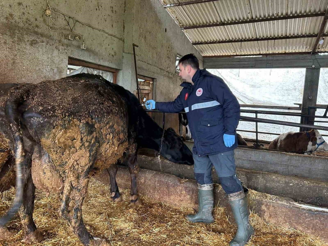 HAYRABOLU İLÇE TARIM VE ORMAN MÜDÜRLÜĞÜ, HAYVAN SAĞLIĞINI KORUMAK VE ŞAP HASTALIĞININ YAYILMASINI...