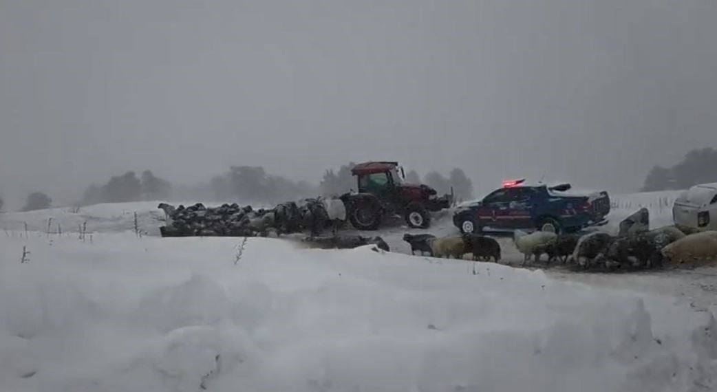 İHBAR ÜZERİNE BÖLGEYE AFAD KOORDİNESİNDE ARAMA KURTARMA EKİPLERİ SEVK EDİLDİ. EKİPLERİN YÜRÜTTÜĞÜ...