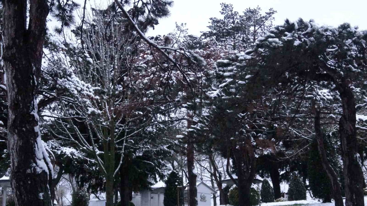 İSTANBUL'DA GÜNLERDİR BEKLENEN KAR YAĞIŞI GECE SAATLERİNDEN İTİBAREN ETKİSİNİ GÖSTERDİ.