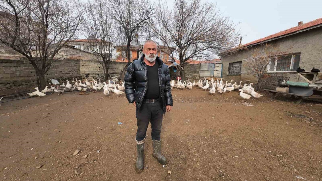 İSTANBUL’DAN MEMLEKETİ YOZGAT’IN ŞEFAATLİ İLÇESİNE DÖNEN HASAN ŞAHAN, KANATLI HAYVAN...