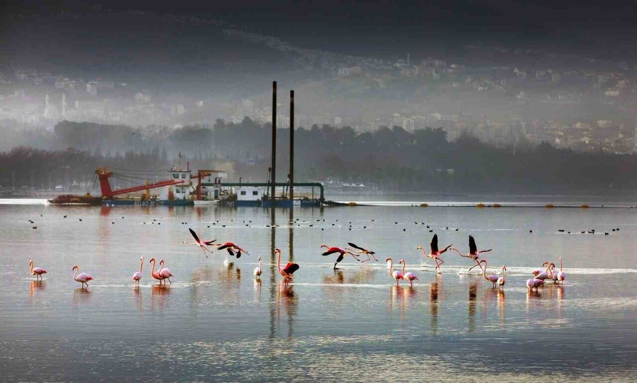 İZMİT KÖRFEZİ'NE YENİDEN NEFES ALDIRAN DİP ÇAMURU TEMİZLİĞİ PROJESİ’NİN ÖNEMİ, ‘MARMARA YENİDEN:...