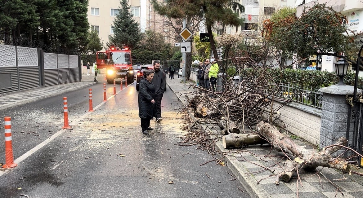 KADIKÖY’DE KALDIRIM ÜZERİNDE BULUNAN BİR AĞACIN YOLA DEVRİLMESİ SONUCU KISA SÜRELİ PANİK YAŞANDI....