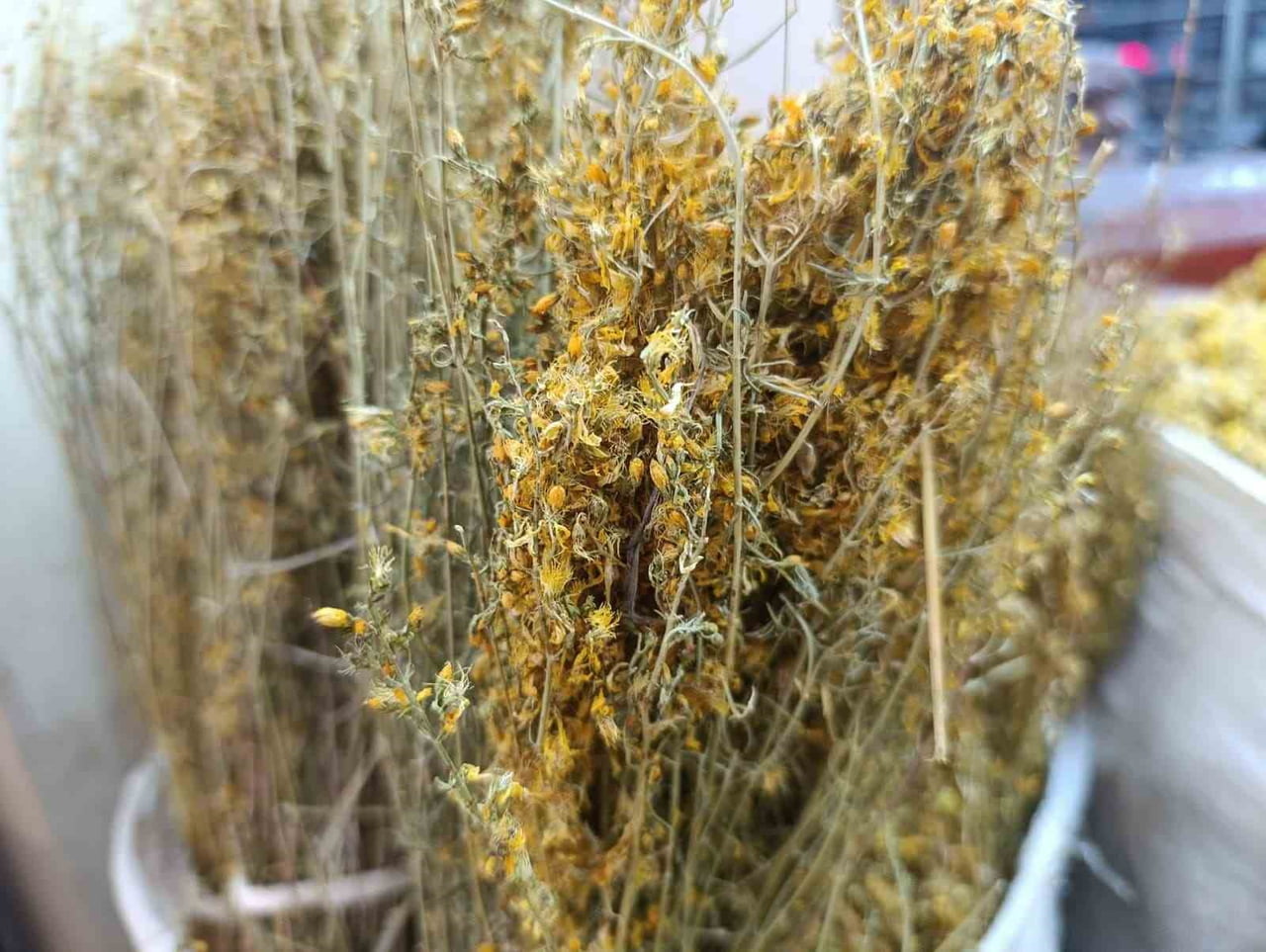 KAHRAMANMARAŞ’TA KIŞ MEVSİMİNİN ETKİSİNİ GÖSTERMESİYLE BİRLİKTE BAZI VATANDAŞLARIN ENERJİ...