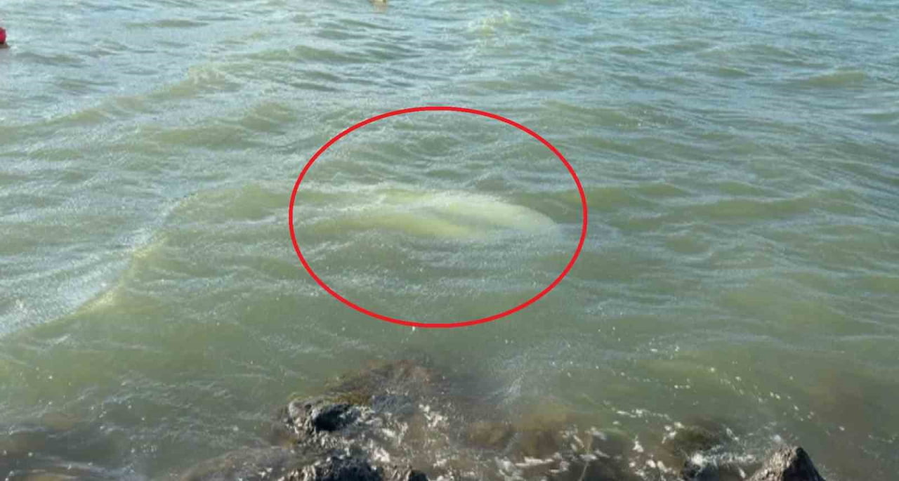 KARADENİZ’DE ETKİLİ OLAN KUVVETLİ FIRTINA SONUCU SAMSUN’DA DALGALARA DAYANAMAYAN 3 TEKNE BATTI...