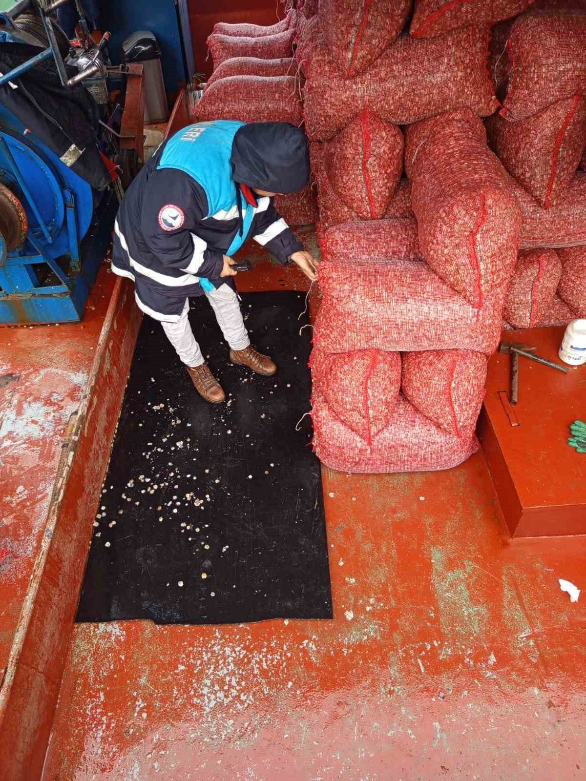 KARADENİZ’DE YAKALANAN BİN 400 TON BEYAZ KUM MİDYESİ, FABRİKALARDA İŞLENDİKTEN SONRA İTALYA’YA...