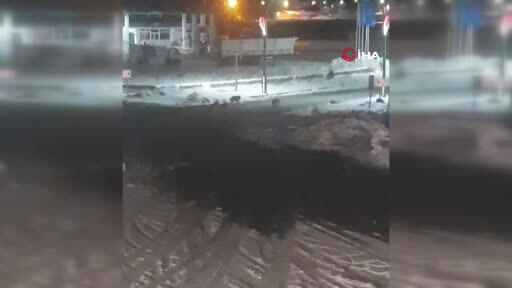 Karayazı’da akşam saatlerinde kurt alarmı