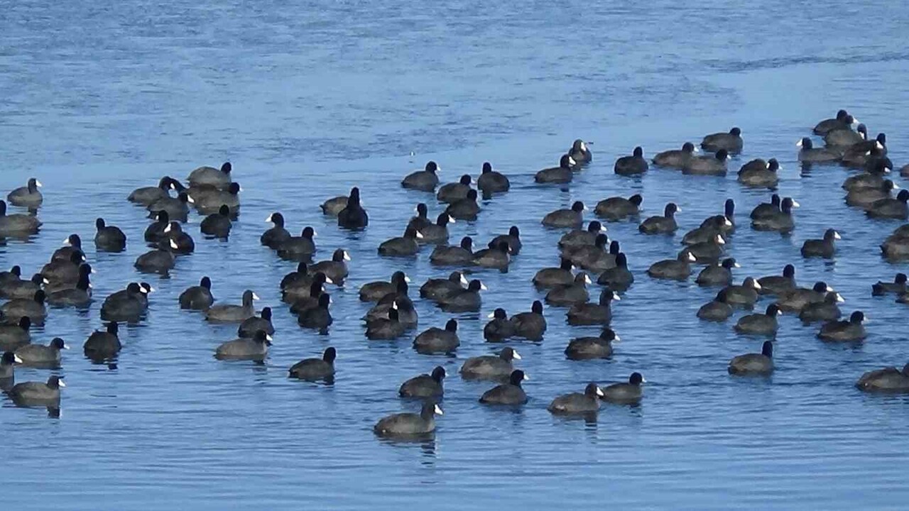 KARS’TA DONDURUCU SOĞUKLAR ETKİSİNİ ARTIRIRKEN, OBJEKTİFLERE YANSIYAN VE BELGESELLERİ ARATMAYAN...