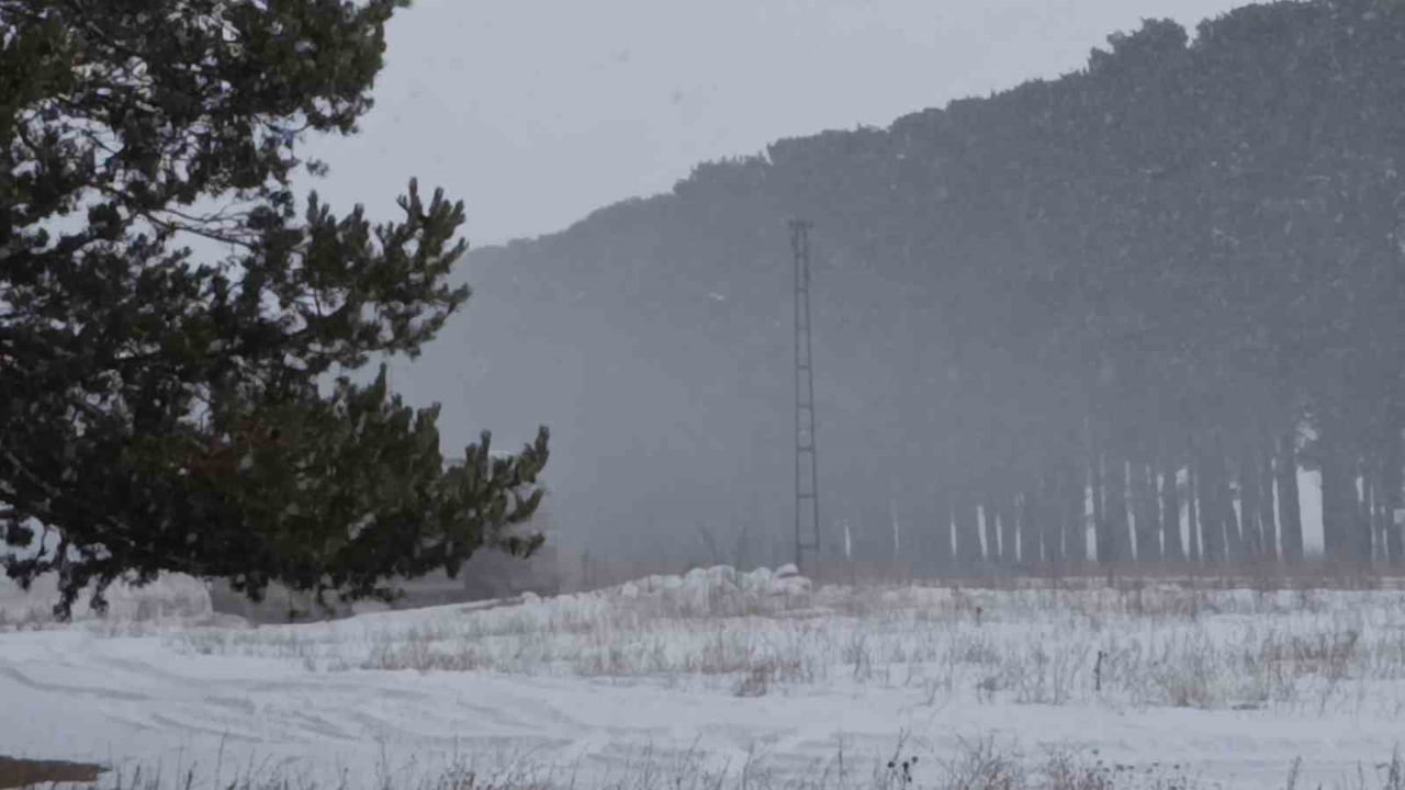 KARS’TA KAR ESARETİ: 27 KÖY YOLU ULAŞIMA KAPANDI(KARS-İHA)