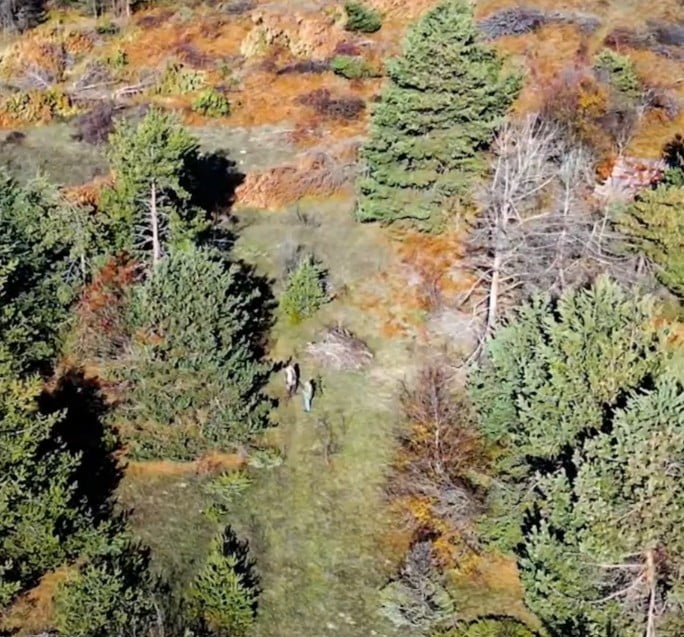 KASTAMONU DOĞA KORUMA VE MİLLİ PARKLAR MÜDÜRLÜĞÜ EKİPLERİ TARAFINDAN YÜRÜTÜLEN KORUMA VE KONTROL...