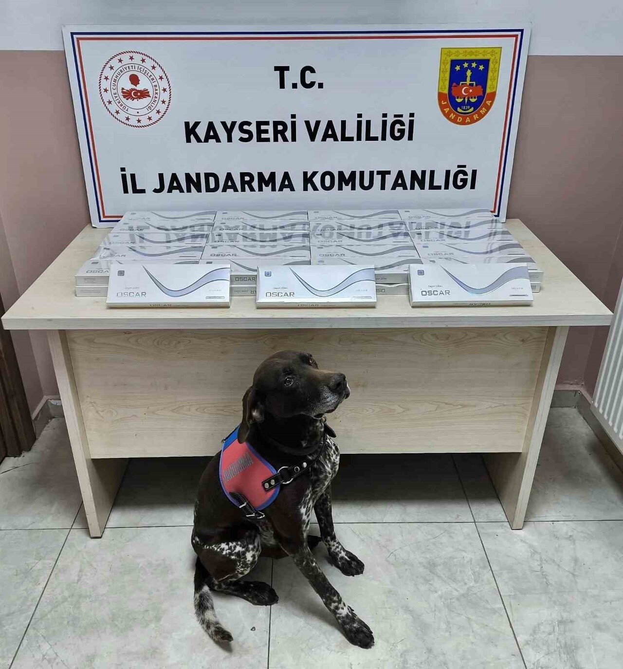 KAYSERİ’DE JANDARMA EKİPLERİ TARAFINDAN YAPILAN ÇALIŞMALARDA 930 PAKET BANDROLSÜZ SİGARA ELE...