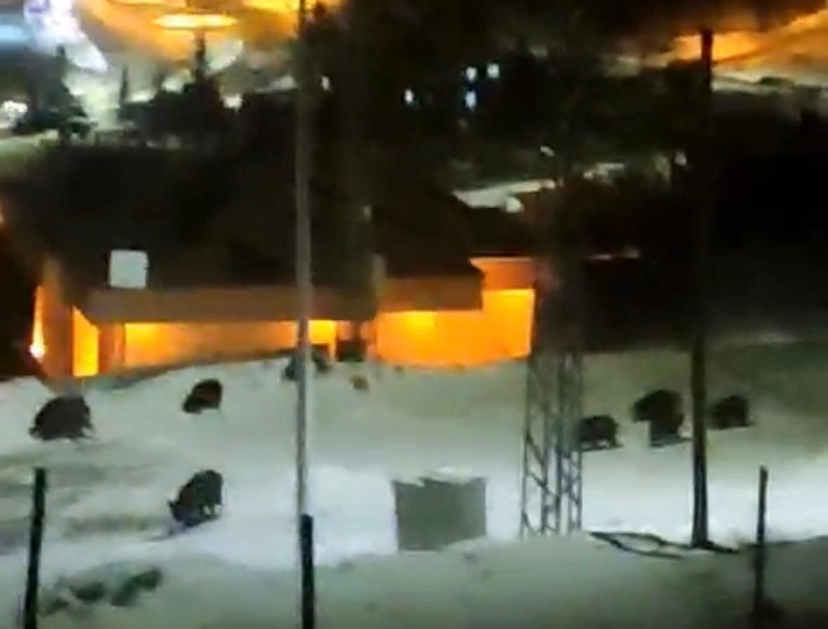 KAYSERİ’NİN HACILAR İLÇESİNDE MERKEZE İNEN DOMUZ SÜRÜSÜ VATANDAŞ KAMERASINA YANSIDI. 13 DOMUZUN...