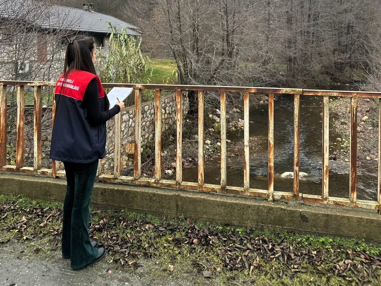 KIRKLARELİ'NİN DEMİRKÖY İLÇESİNDE, TARIM VE ORMAN MÜDÜRLÜĞÜ TEKNİK PERSONELLERİMİZ TARAFINDAN...
