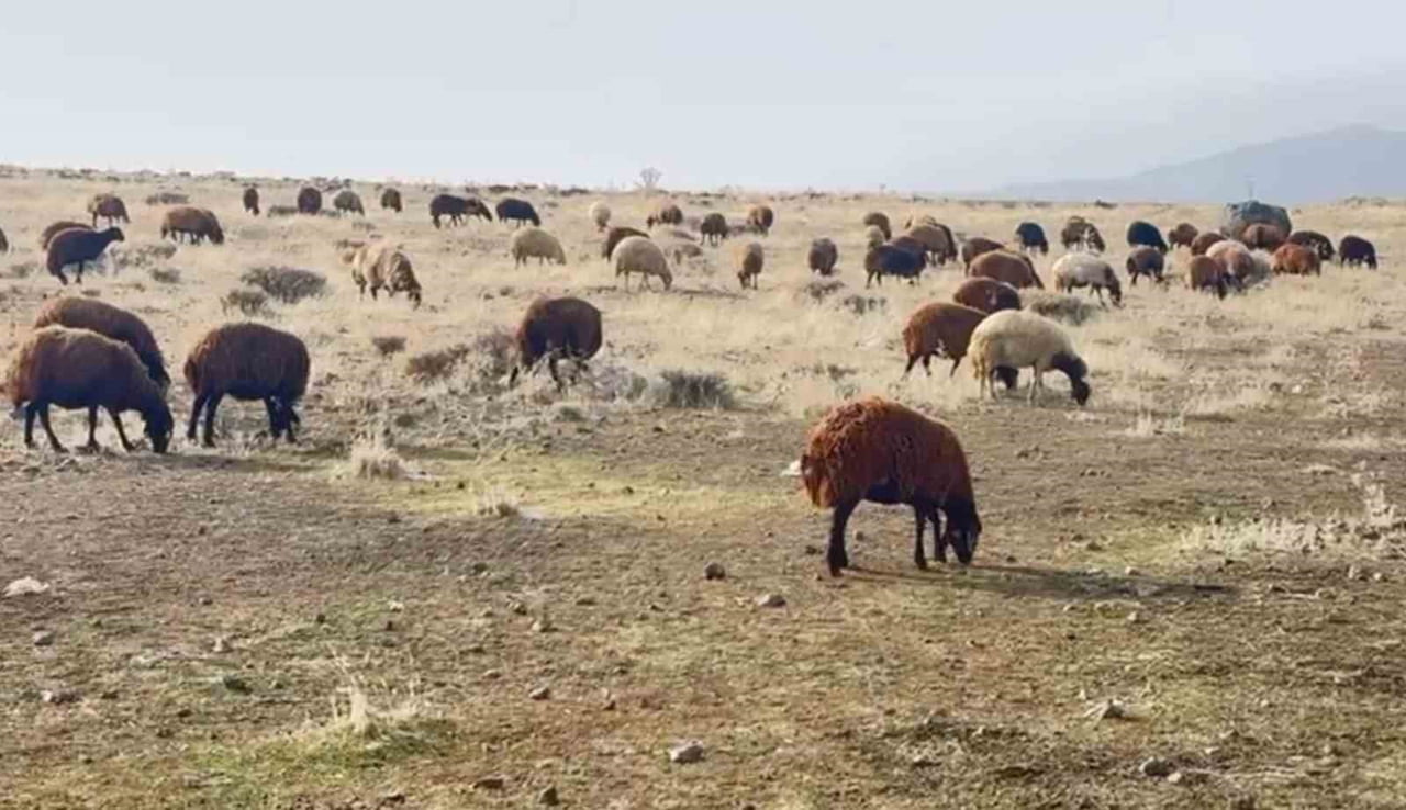 KIŞ MEVSİMİNE GİRİLMESİNE RAĞMEN KARIN HENÜZ YAĞMADIĞI AĞRI'NIN PATNOS İLÇESİNDE HAVALARIN MEVSİM...