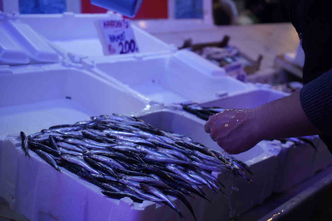 KIŞ SOFRALARININ VAZGEÇİLMEZİ HAMSİNİN YERİNİ SON ZAMANLARDA İSTAVRİT ALDI. İSTAVRİT, HEM FİYATI...