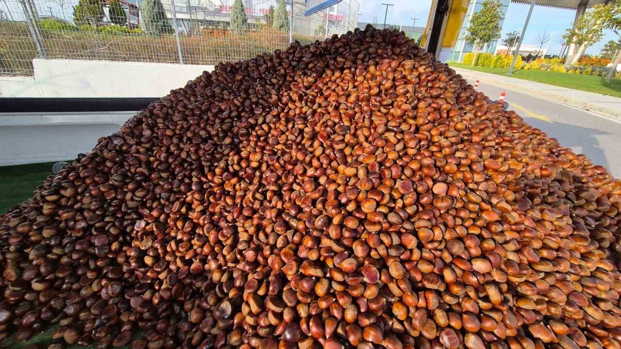 KIŞIN GELİŞİYLE BİRLİKTE SÜLEYMANPAŞA SOKAKLARININ VAZGEÇİLMEZ KOKUSU YENİDEN YÜKSELDİ. SEYYAR...