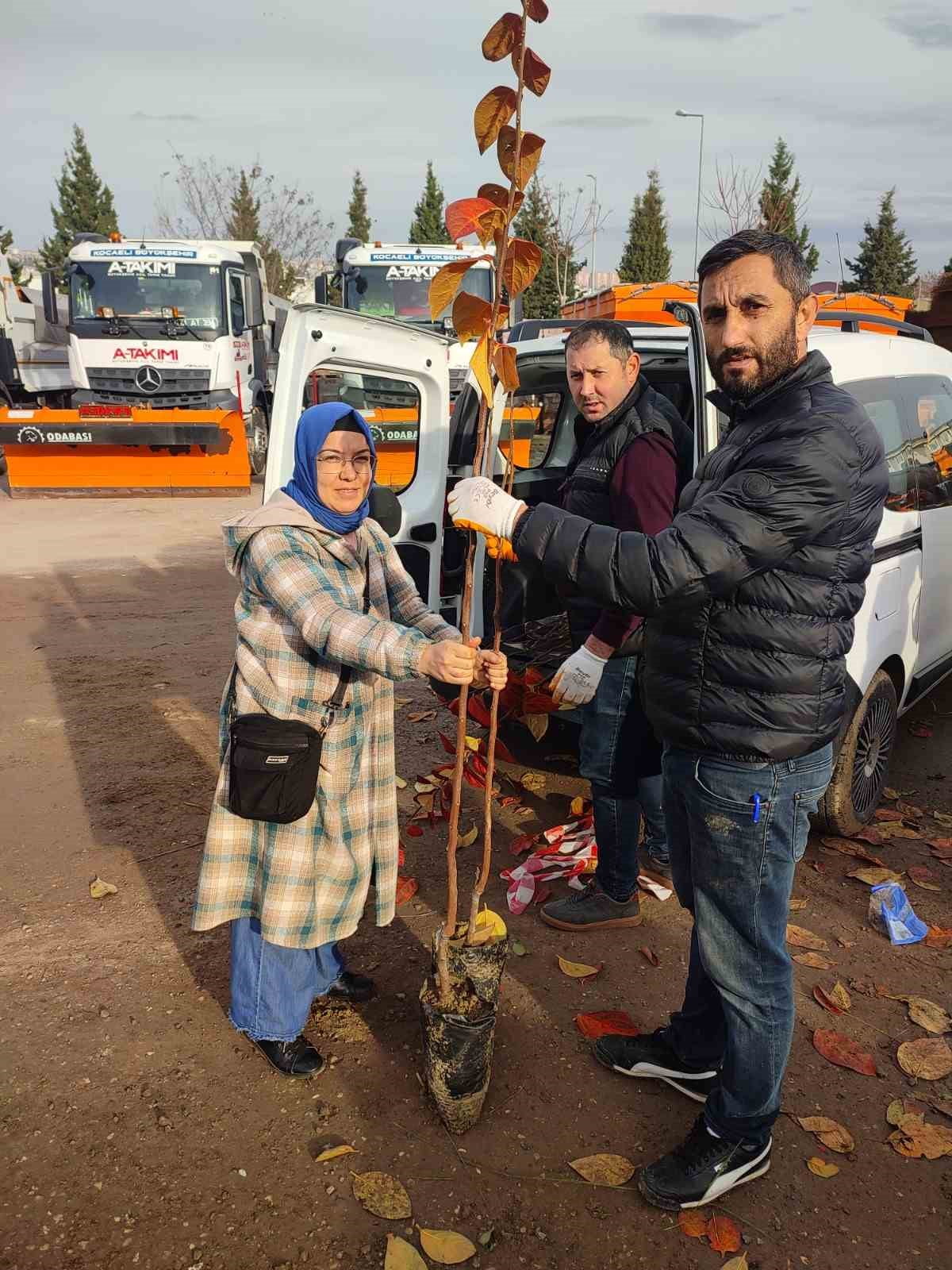 KOCAELİ'DE "MEYVECİLİĞİ GELİŞTİRME PROJESİ" KAPSAMINDA BAŞLATILAN YÜZDE 50 HİBELİ TRABZON HURMASI...