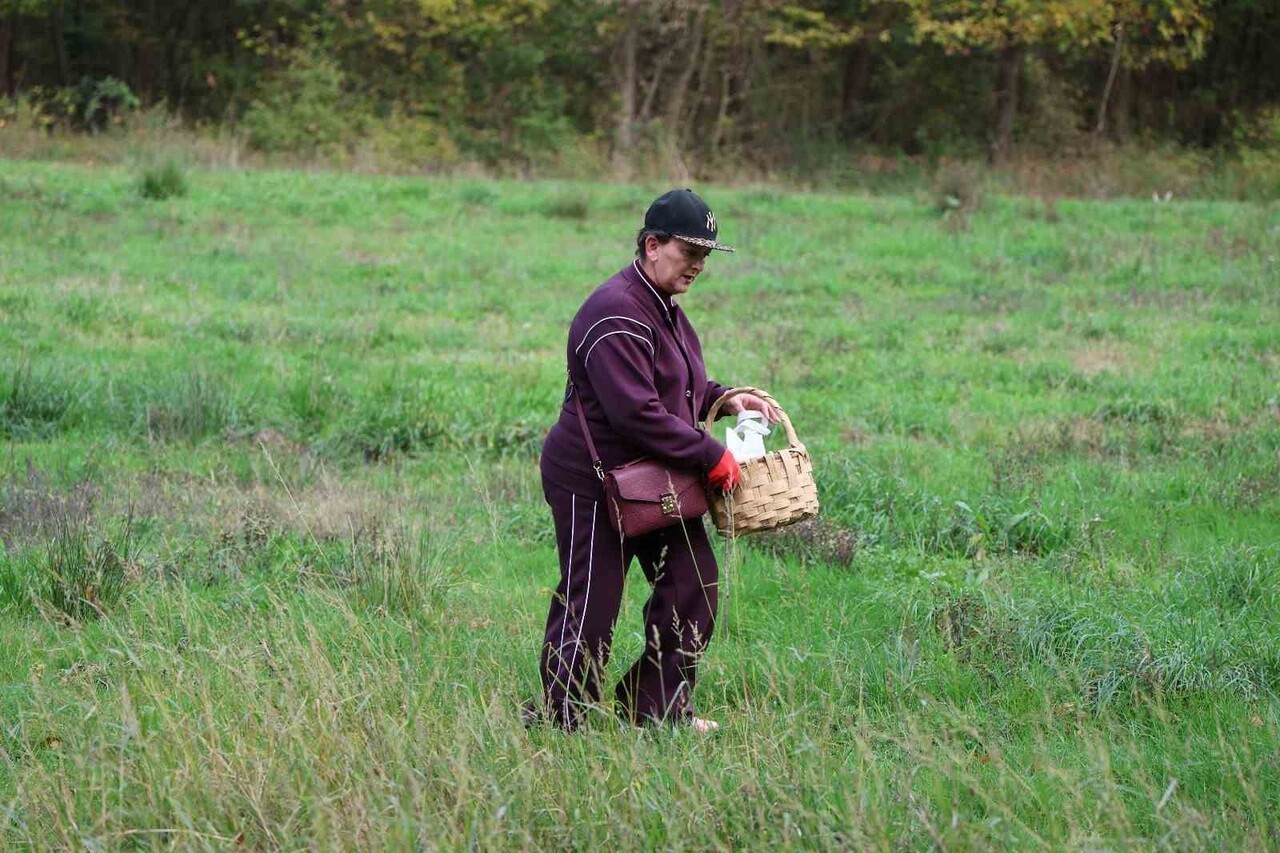 KOCAELİ'DEKİ AVRUPA'NIN EN BÜYÜK DOĞAL YAŞAM PARKI ORMANYA'DA DÜZENLENEN ETKİNLİKTE BİR ARAYA...