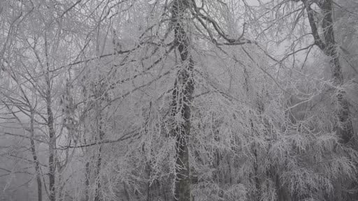 Kocaeli’ye lapa lapa kar yağıyor