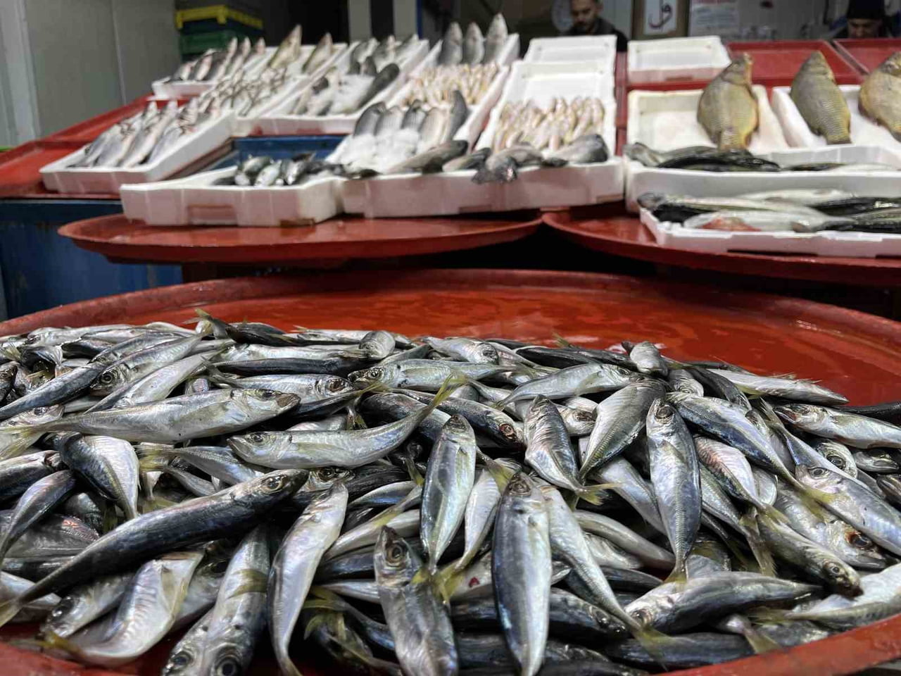 KONYA'DA BALIKÇILAR, HAMSİ MEVSİMİNDE SIKINTIYLA KARŞI KARŞIYA KALDIKLARINI SÖYLERKEN...