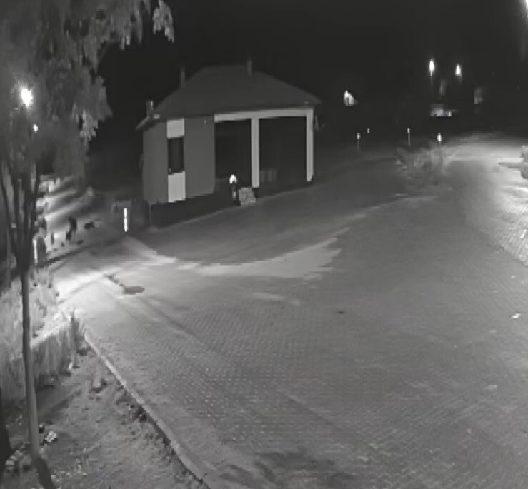 KONYA'NIN KADINHANI İLÇESİNDE YERLEŞİM YERİNE GELEN KURT SÜRÜSÜ SOKAKTA DOLAŞAN EŞEĞE SALDIRARAK...