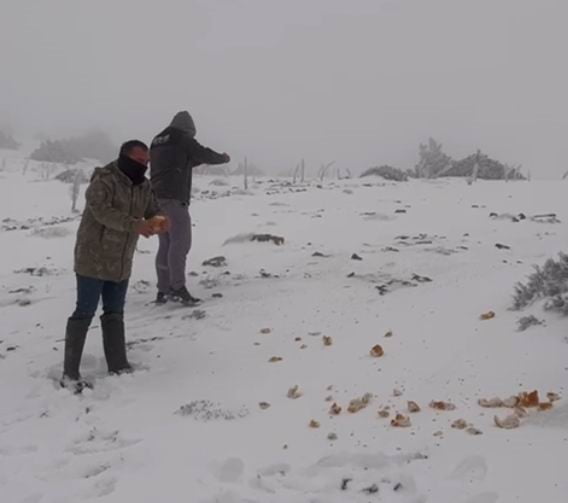 KONYA’DA ETKİLİ OLAN KAR YAĞIŞINDA EN YOĞUN ÖRTÜ HALKAPINAR İLÇESİNDE GÖRÜLDÜ. İLÇEDE KAR...