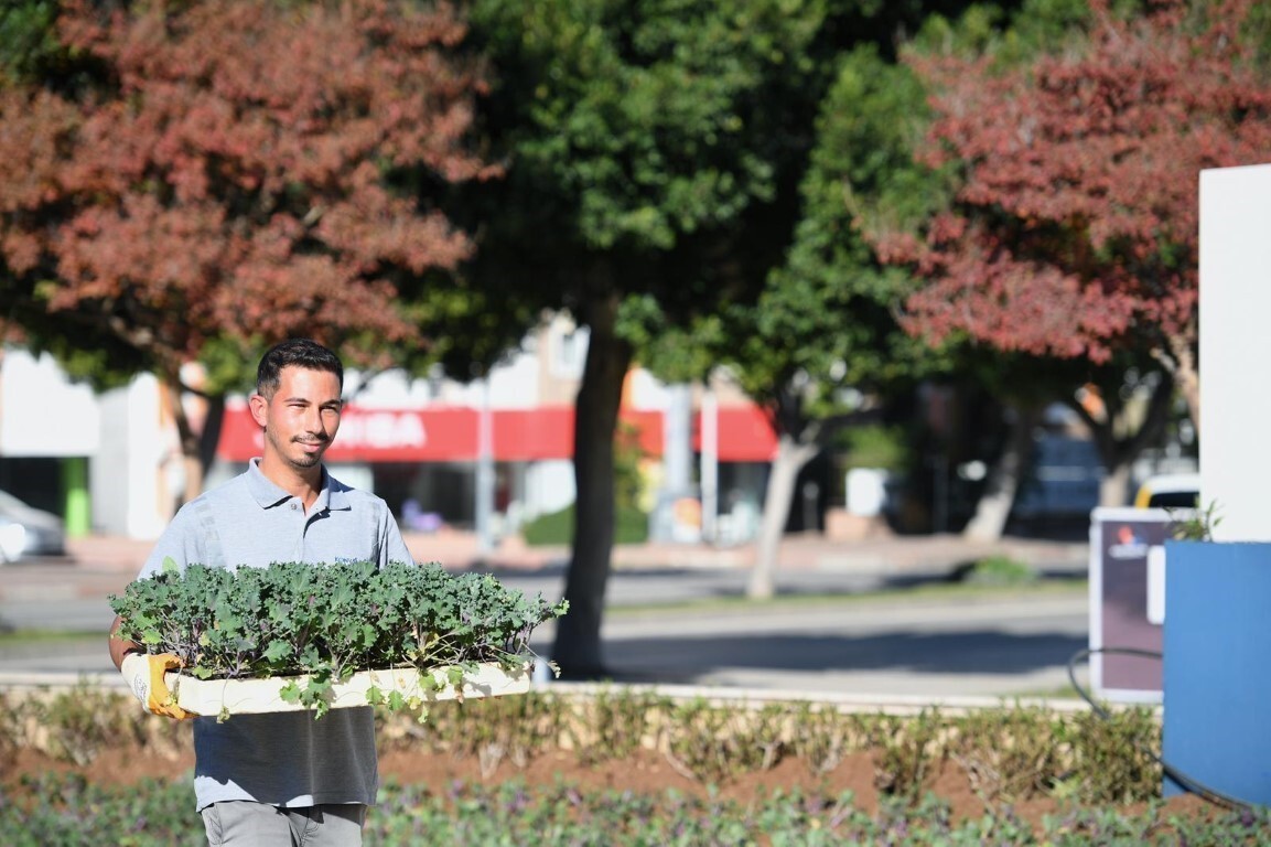 KONYAALTI BELEDİYESİ, PARK VE BAHÇELER MÜDÜRLÜĞÜ BÜNYESİNDE YER ALAN ÜRETİM TESİSİNDE (FİDANLIK)...