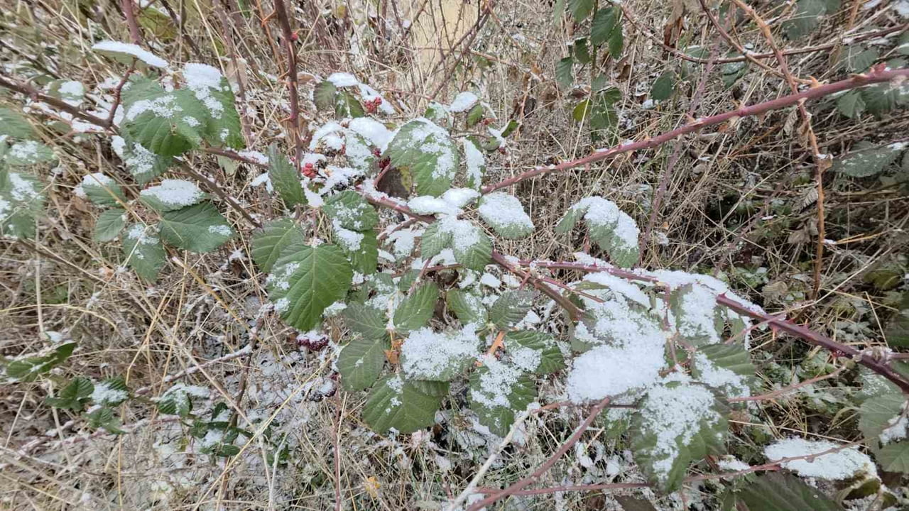 KÜTAHYA'NIN YÜKSEK KESİMLERİ MEVSİMİN İLK KARIYLA BEYAZA BÜRÜNDÜ