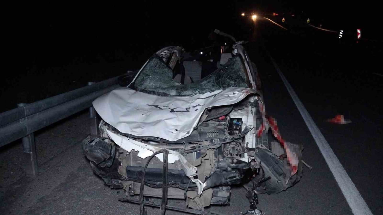 MALATYA'DA BULUNDUKLARI TAVLADAN KAÇAN VE ŞEHİRLERARASI KARAYOLUNA ÇIKAN MİLYONLUK YARIŞ ATLARINA...