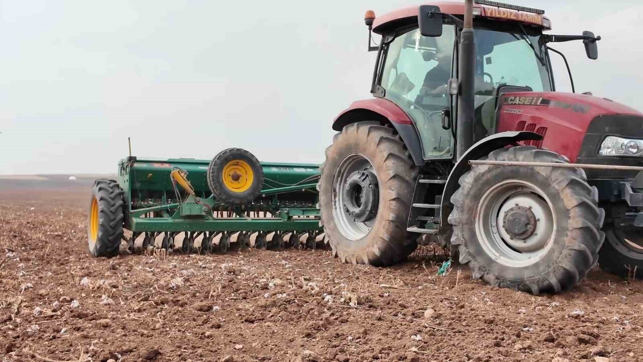 MARDİN’DE 2016 YILINDAN BU YANA YERLİ TOHUM ÜRETİMİ YAPAN YILDIZ TARIM, BÖLGENİN TARIMSAL...