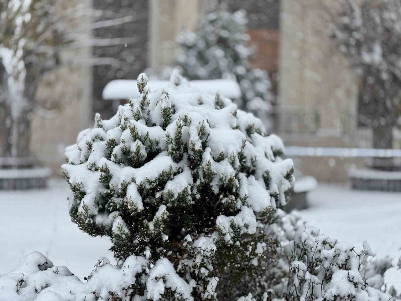 MARDİN’İN MAZIDAĞI İLÇESİNDE YOĞUN KAR YAĞIŞI VE TİPİ ETKİLİ OLUYOR. MAZIDAĞI’NDA SABAH...