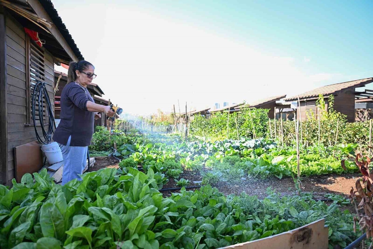 MERSİN BÜYÜKŞEHİR BELEDİYESİNİN TOROSLAR’DAKİ HOBİ PARKI’NDA KIŞ HAZIRLIKLARI...