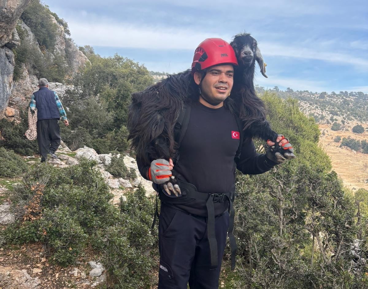 MERSİN’DE KAYALIKLARDA MAHSUR KALAN 2 KEÇİ, İTFAİYNİN TİTİZ VE KONTROLLÜ ÇALIŞMASIYLA SAĞ SALİM...