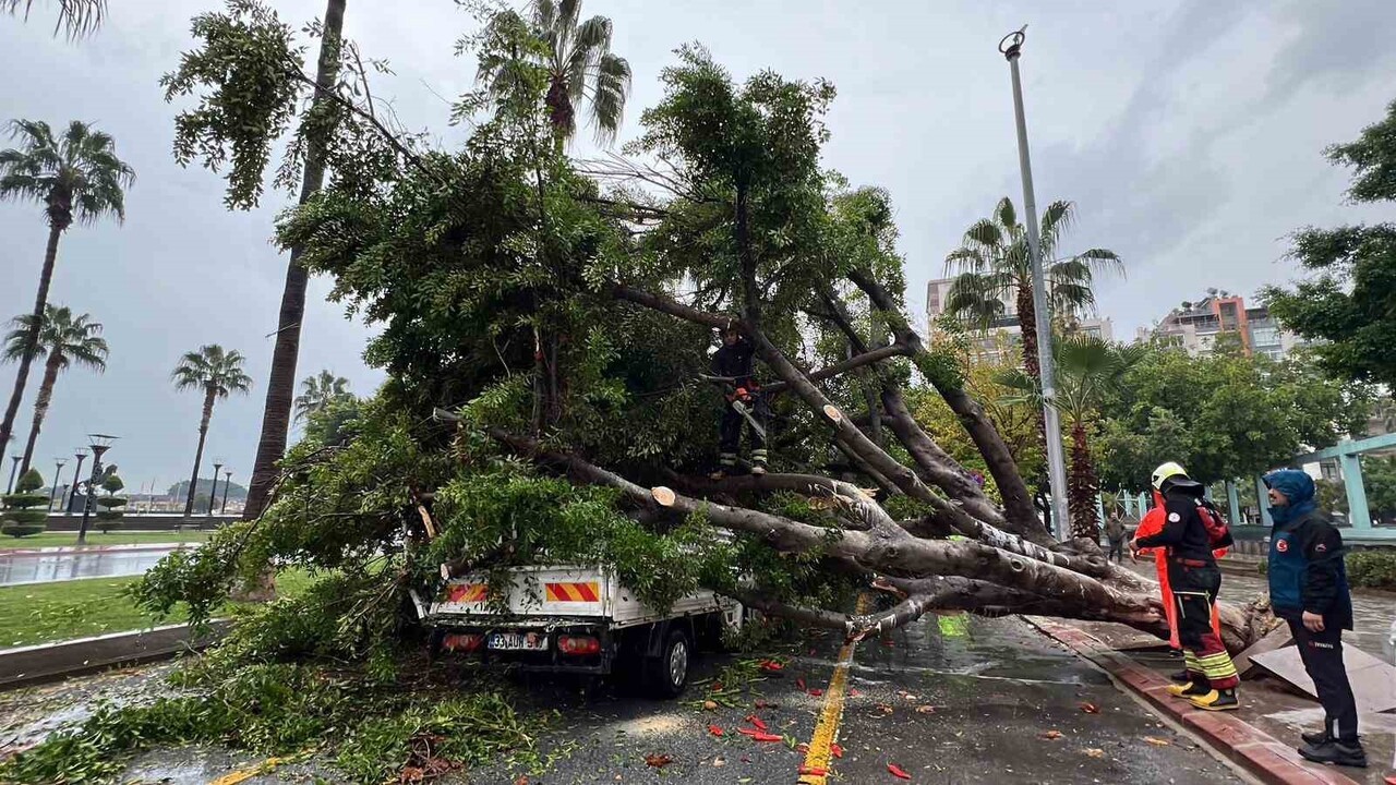MERSİN’DE YAĞMURUN ETKİSİYLE KÖKÜNDEN SÖKÜLEN BİR AĞAÇ, YOLDAN GEÇEN 3 ARACA DÜŞEREK HASARA YOL...