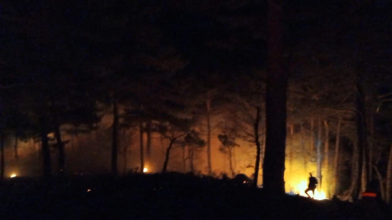 MERSİN’İN BOZYAZI İLÇESİNDE ÇIKAN ORMAN YANGINI, EKİPLERİN YOĞUN MÜDAHALESİYLE KONTROL ALTINA...