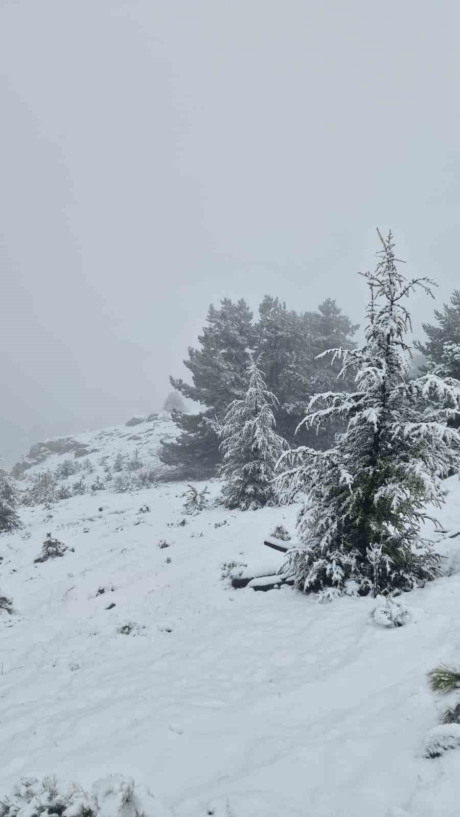 MUĞLA'DA KIŞIN İKİ YÜZÜ ALÇAKTA YAĞMUR, YÜKSEKTE KAR