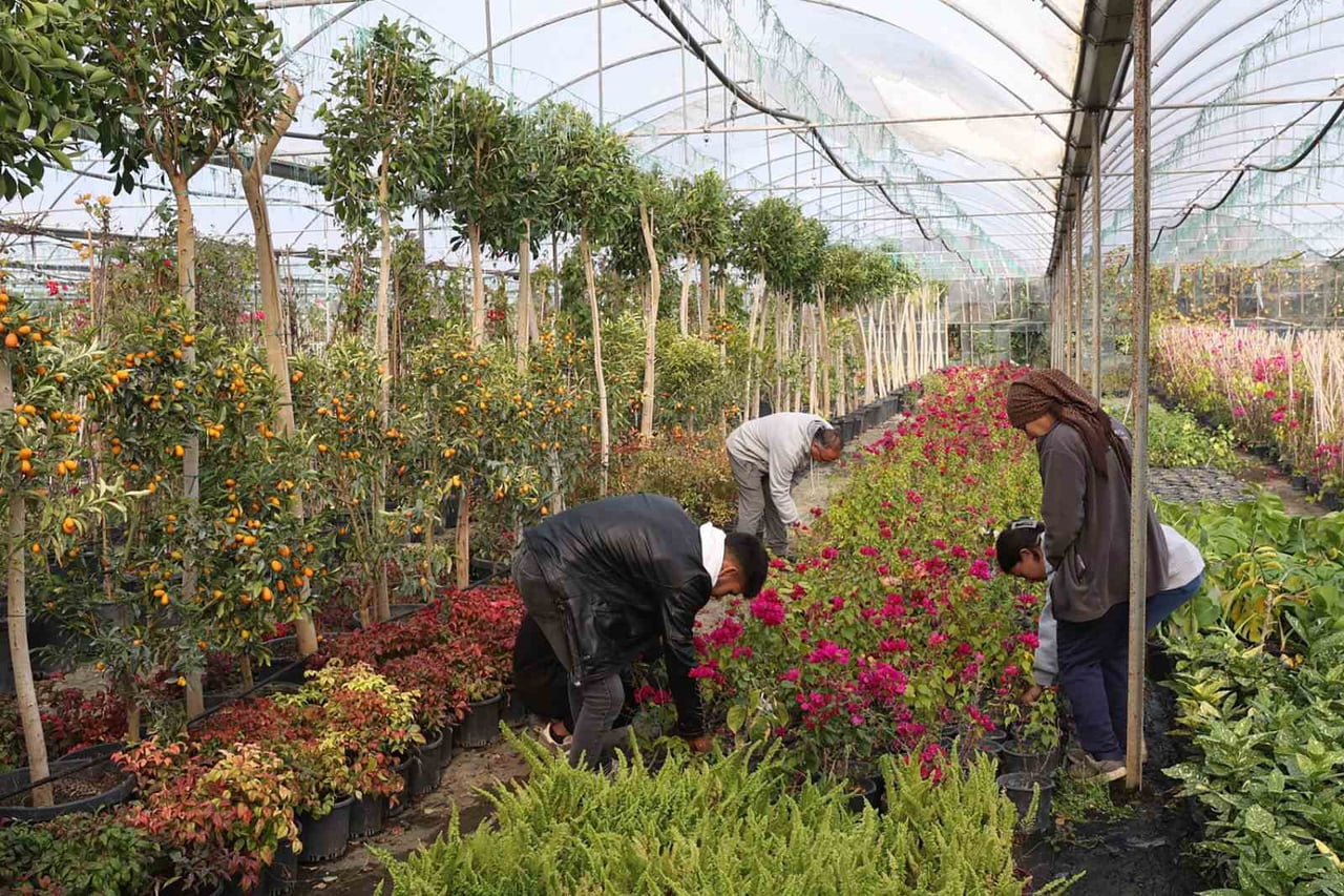 MUĞLA BÜYÜKŞEHİR’DEN YEREL KALKINMAYA KATKI