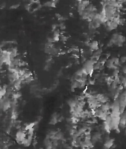 MUĞLA DOĞA KORUMA VE MİLLİ PARKLAR (DKMP) EKİPLERİ İLE JANDARMA, KAÇAK AVCILIĞI ÖNLEMEK İÇİN...