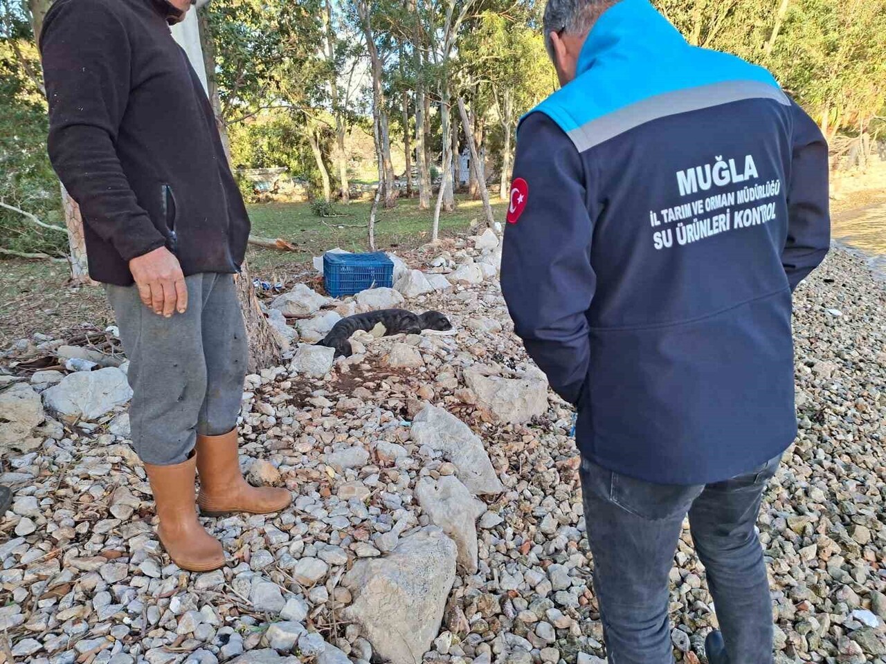 MUĞLA’NIN MARMARİS İLÇESİNE BAĞLI SÖĞÜT VE TAŞLICA MAHALLELERİ ARASINDA BULUNAN SERÇE LİMANI’NDA...