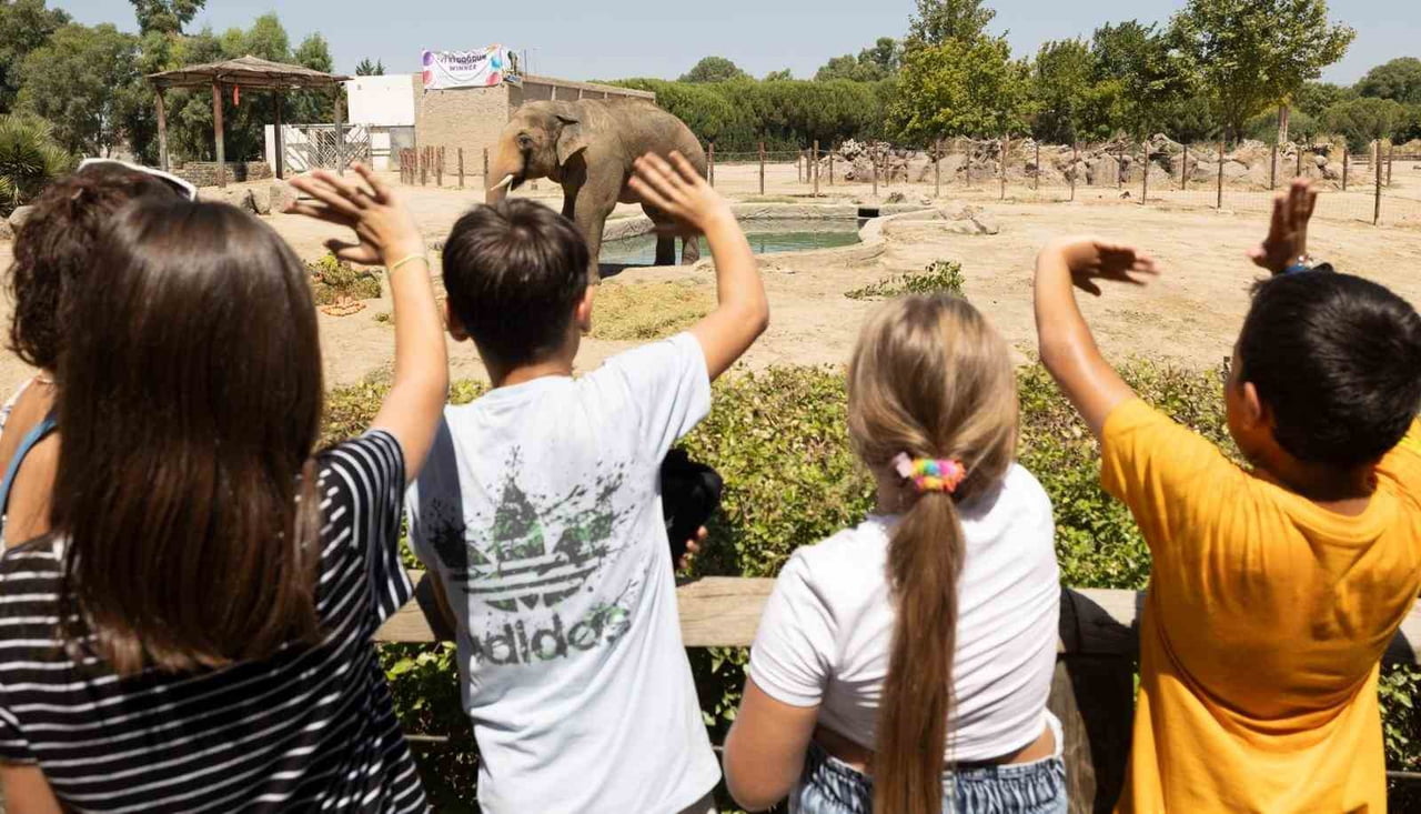 NESLİ TÜKENME TEHDİDİ ALTINDAKİ BİRÇOK CANLI TÜRÜNE EV SAHİPLİĞİ YAPAN İZMİR DOĞAL YAŞAM PARKI'NDA...
