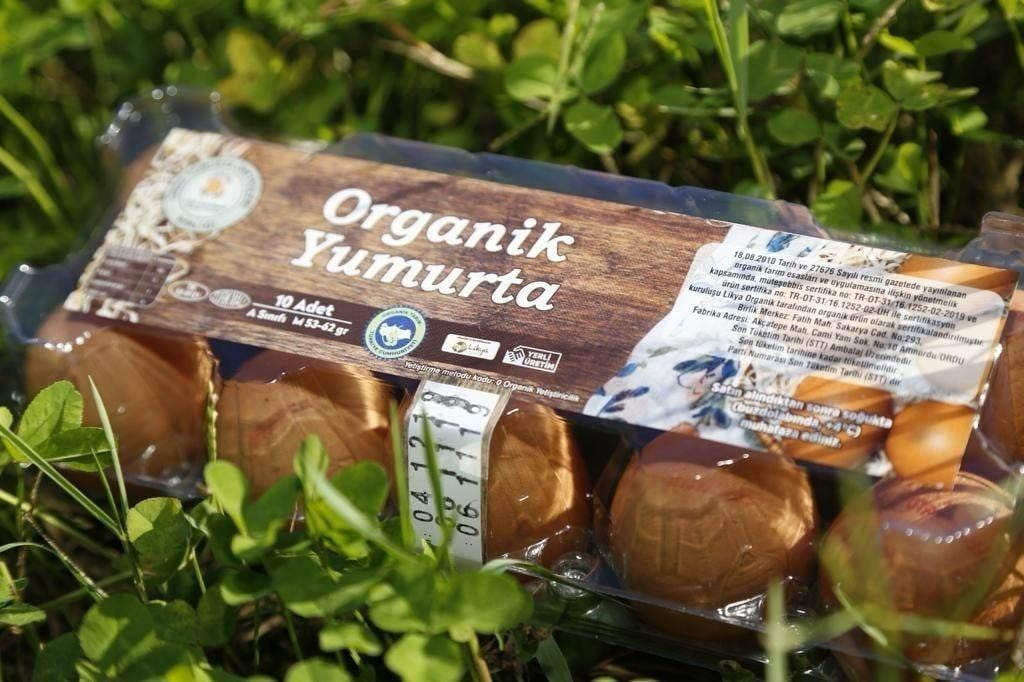 ORDU ORGANİK YUMURTA