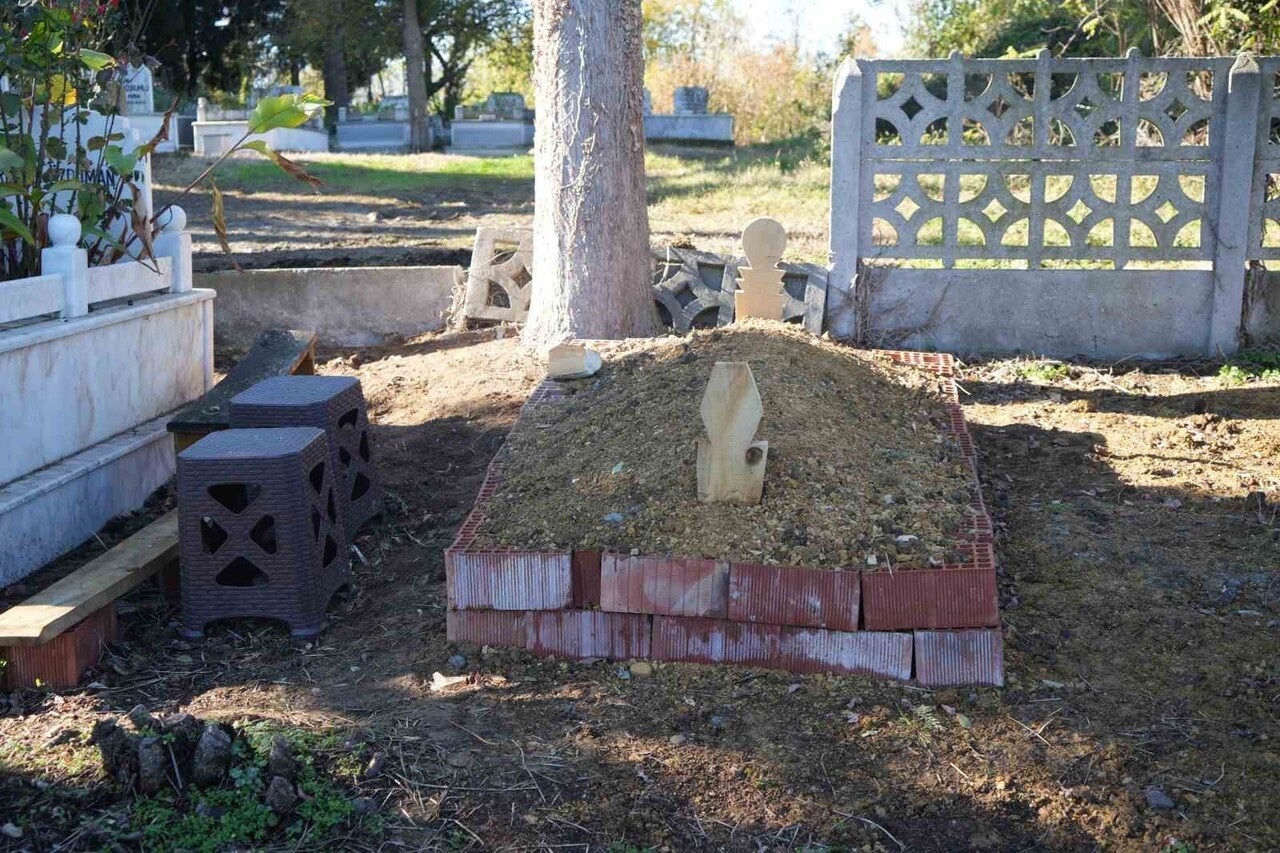 SAHİBİNİN ÖLÜMÜNÜN ARDINDAN 1 AYDIR MEZARINDAN AYRILMAYAN KÖPEK DUYGULANDIRDI