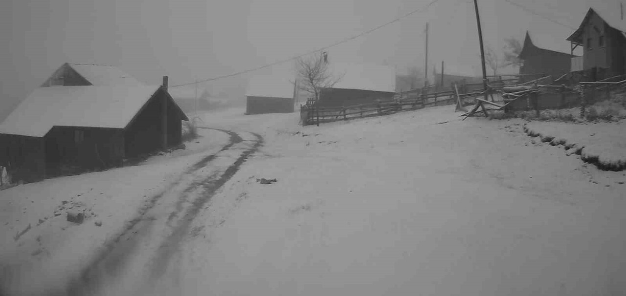 SAKARYA'DA HAVA SICAKLIKLARININ DÜŞMESİYLE HENDEK İLÇESİNDEKİ 1725 RAKIMLI DİKMEN VE BEŞOLUK...