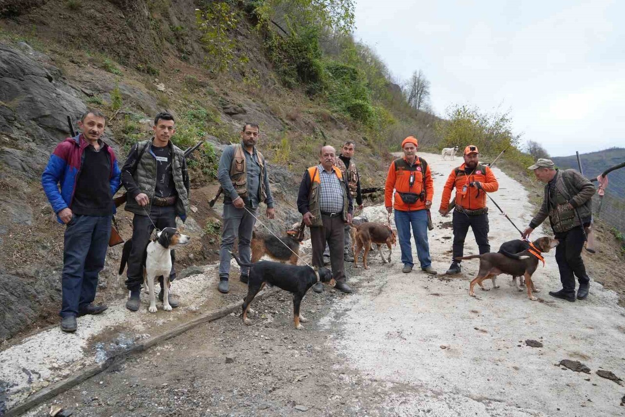 SAMSUN'DA KIRSAL MAHALLELERDE DOMUZ POPÜLASYONUNUN HIZLA ARTMASI ÜZERİNE VATANDAŞLAR AVCILARDAN...