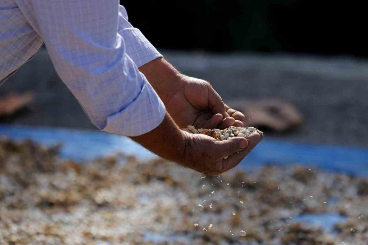 SAMSUN BÜYÜKŞEHİR BELEDİYE BAŞKANI HALİT DOĞAN, BİTKİSEL VE HAYVANSAL DESTEKLERİN ARALIKSIZ DEVAM...