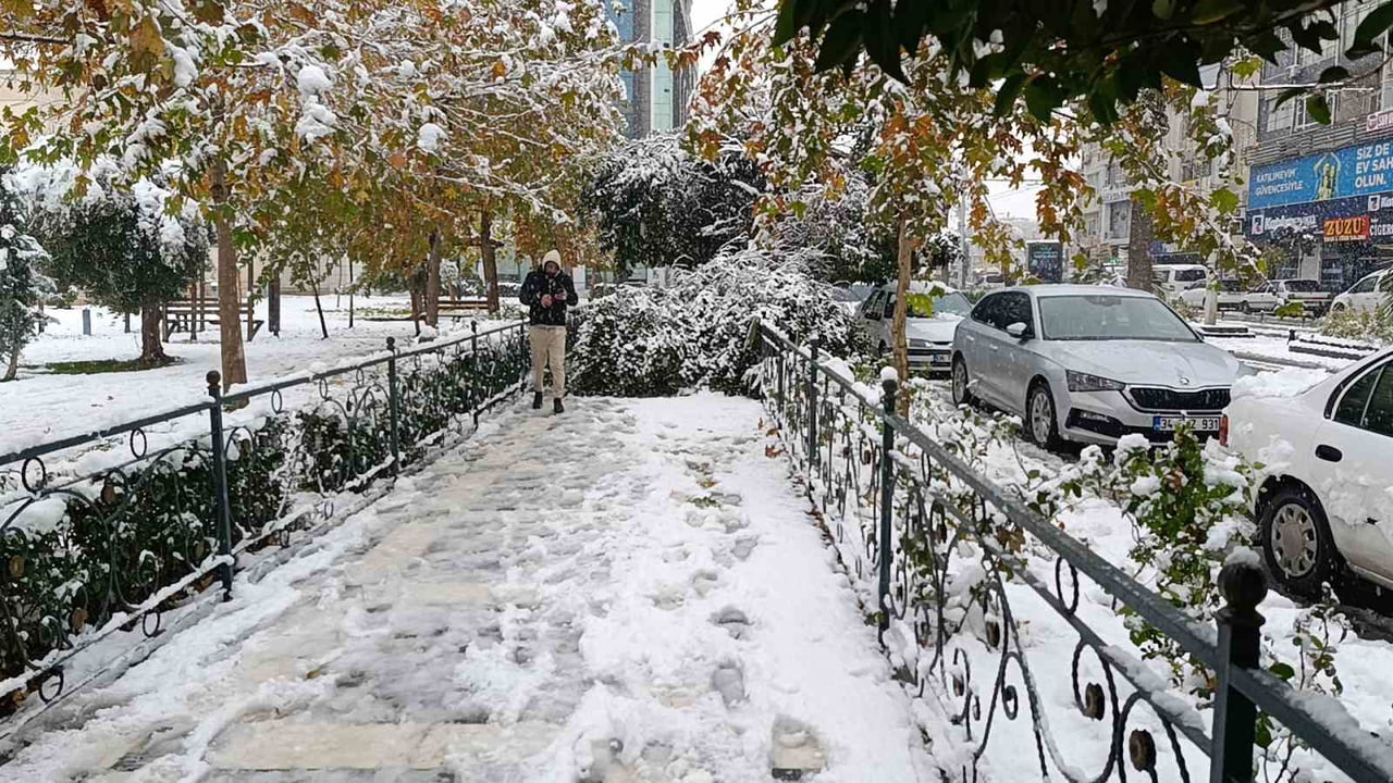 ŞANLIURFA'DA SABAH SAATLERİNDEN İTİBAREN ETKİLİ OLAN KAR YAĞIŞI NEDENİYLE BİR AĞAÇ DEVRİLDİ...
