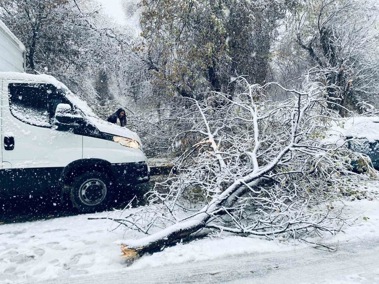 ŞANLIURFA’DA ETKİSİNİ SÜRDÜREN KAR YAĞIŞI NEDENİYLE BİRECİK İLÇESİNDE BİRÇOK AĞACIN DALLARI...