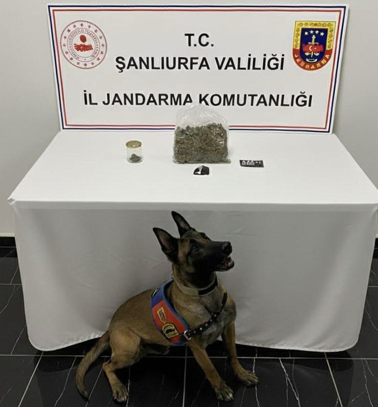 ŞANLIURFA’DA UYUŞTURUCU OPERASYONU: 1GÖZALTI